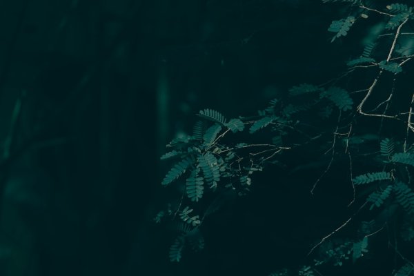 Sanatın Dijital Nabzı: 2025'in Akımları